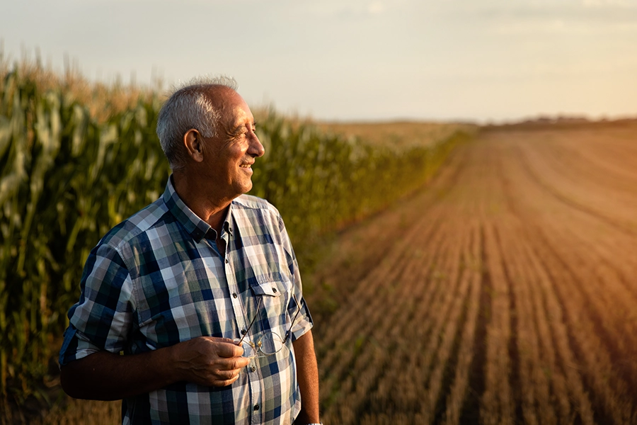 Farmer looking at land
